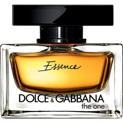 dolce & gabbana essence|dolce models list.